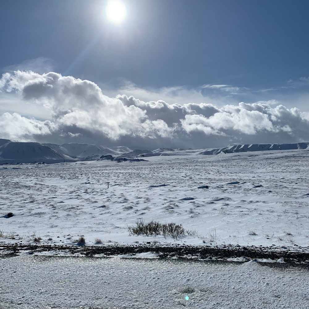 Meet your Posher, Krista